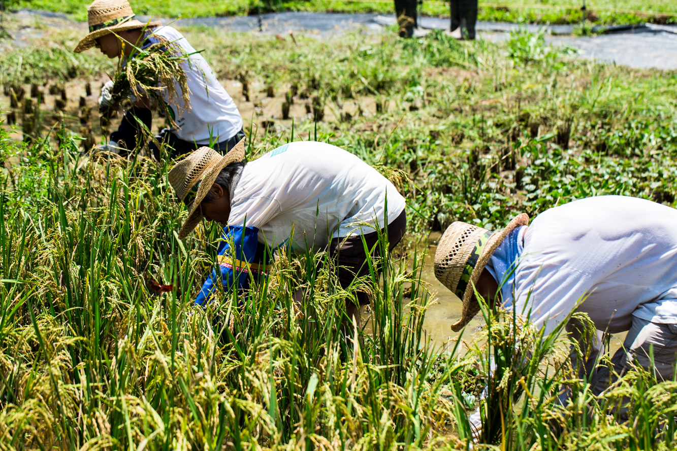 The Sustainable Restaurant Association #EatForTomorrow Campaign